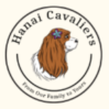 Hanai Cavaliers